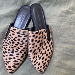 Jenni kayne cheetah mules